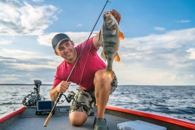 What To Get Out Of Fishing Charters  image