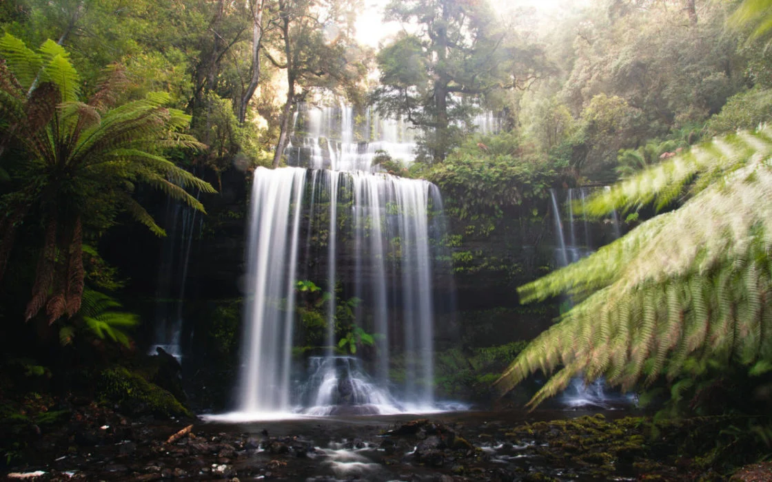 Russell Falls & Mount Field National Park (Trailriders Provide)