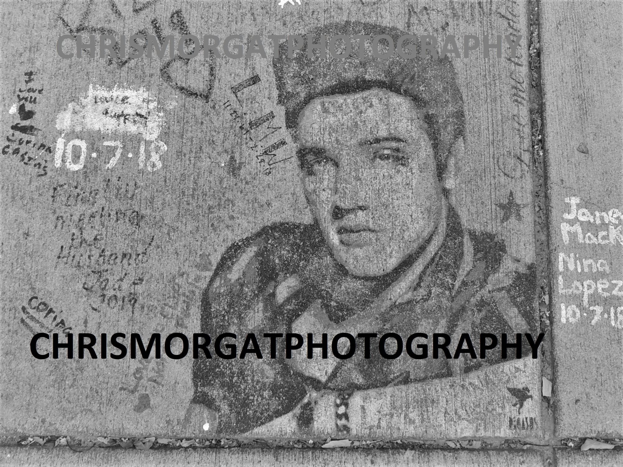 Elvis, Graceland