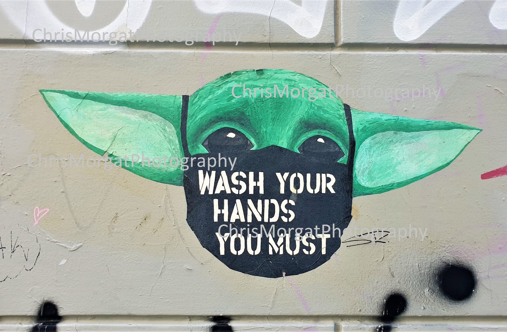 Some advice from Yoda, Bergen