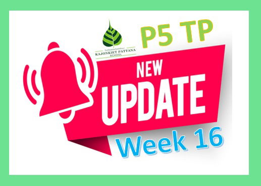 Week 16 Update, 11th October 2021