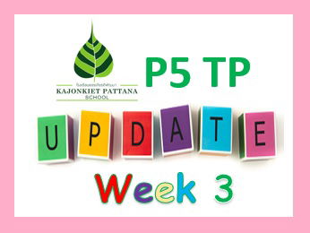 Week 3 Update, 23rd May 2022