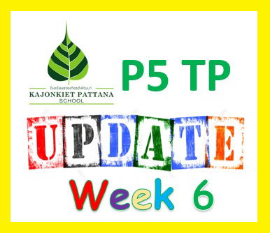 Week 6 Update, 13th June 2022