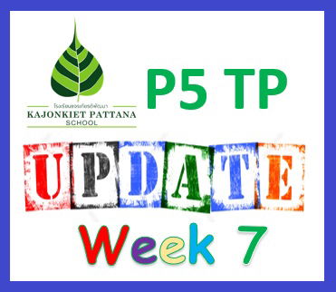 Week 7 Update, 20th June 2022