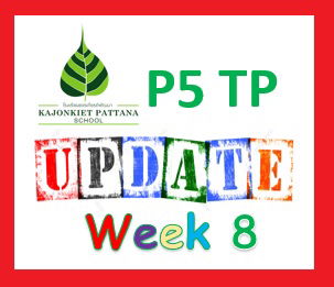 Week 8 Update, 27th June 2022