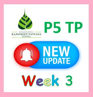 WEEK 3 UPDATE, 7th November 2022