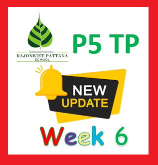 WEEK 6 UPDATE, 27th November 2022