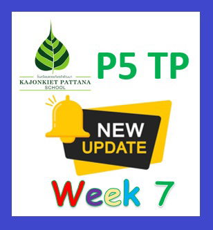 WEEK 7 UPDATE, 6th December 2022