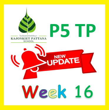 WEEK 16 UPDATE, 22nd August 2023