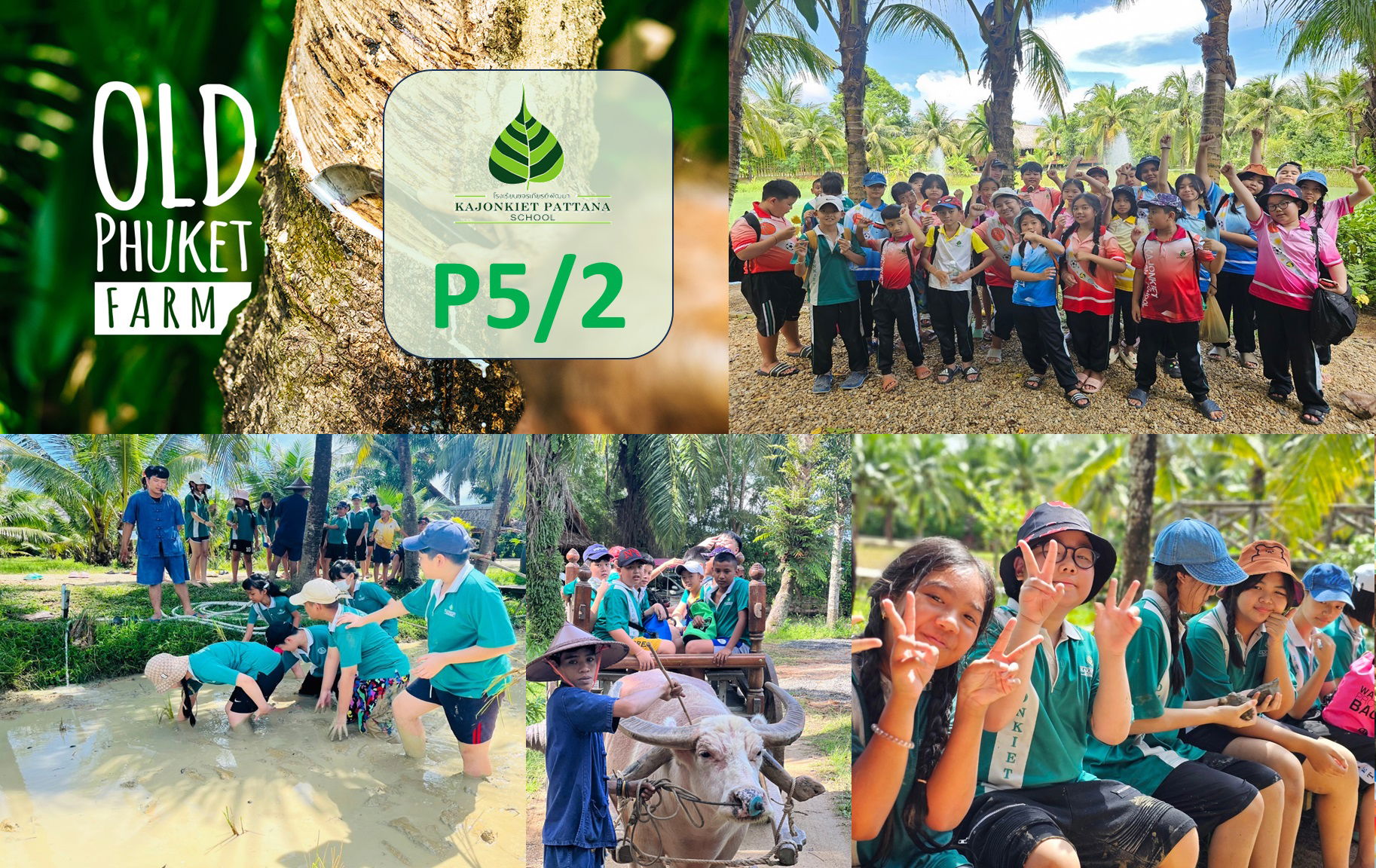 P5/2 Educational Trip: Old Phuket Farm, 2nd November 2023