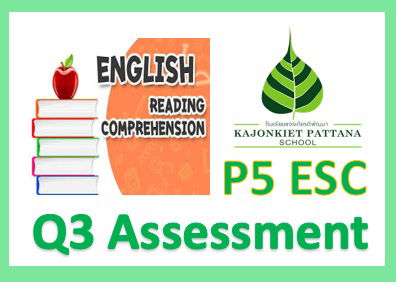 Q3 Reading Assessment