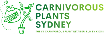 Carnivorous Plants Sydney