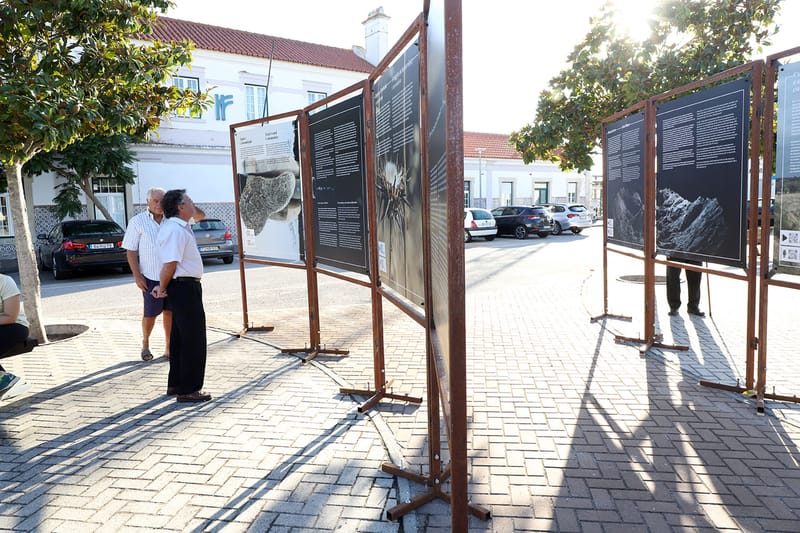 Exposição Criar Memórias em terras de ferro