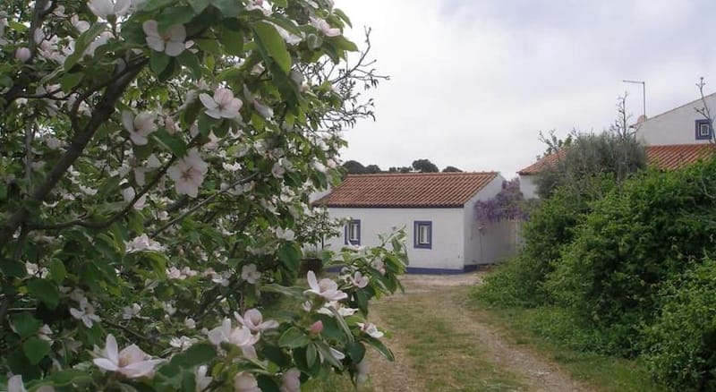 Casa da Malta