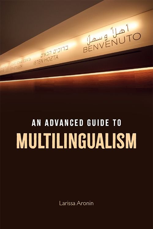 Aronin, Larissa  An Advanced Guide to Multilingualism. Edinburgh: EUP