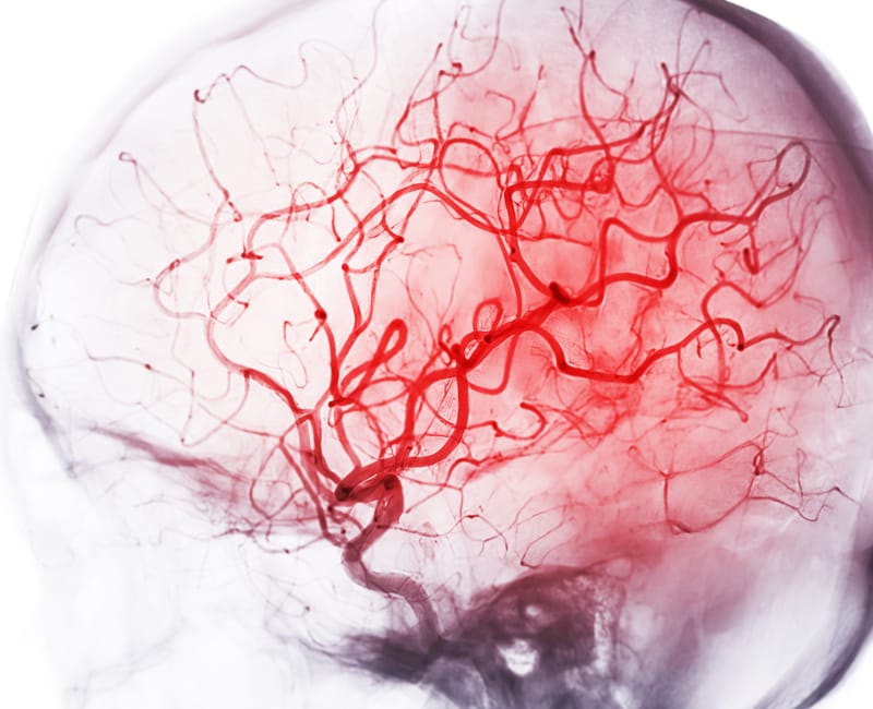 Identification of the Entry Mechanism of Vital Nutrient into the Brain