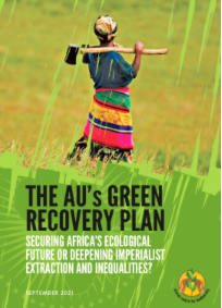 Response to the AU Green Recovery Plan