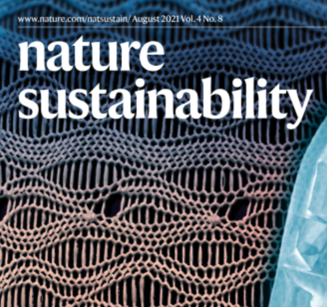 Sustainability Program of the Nature journals