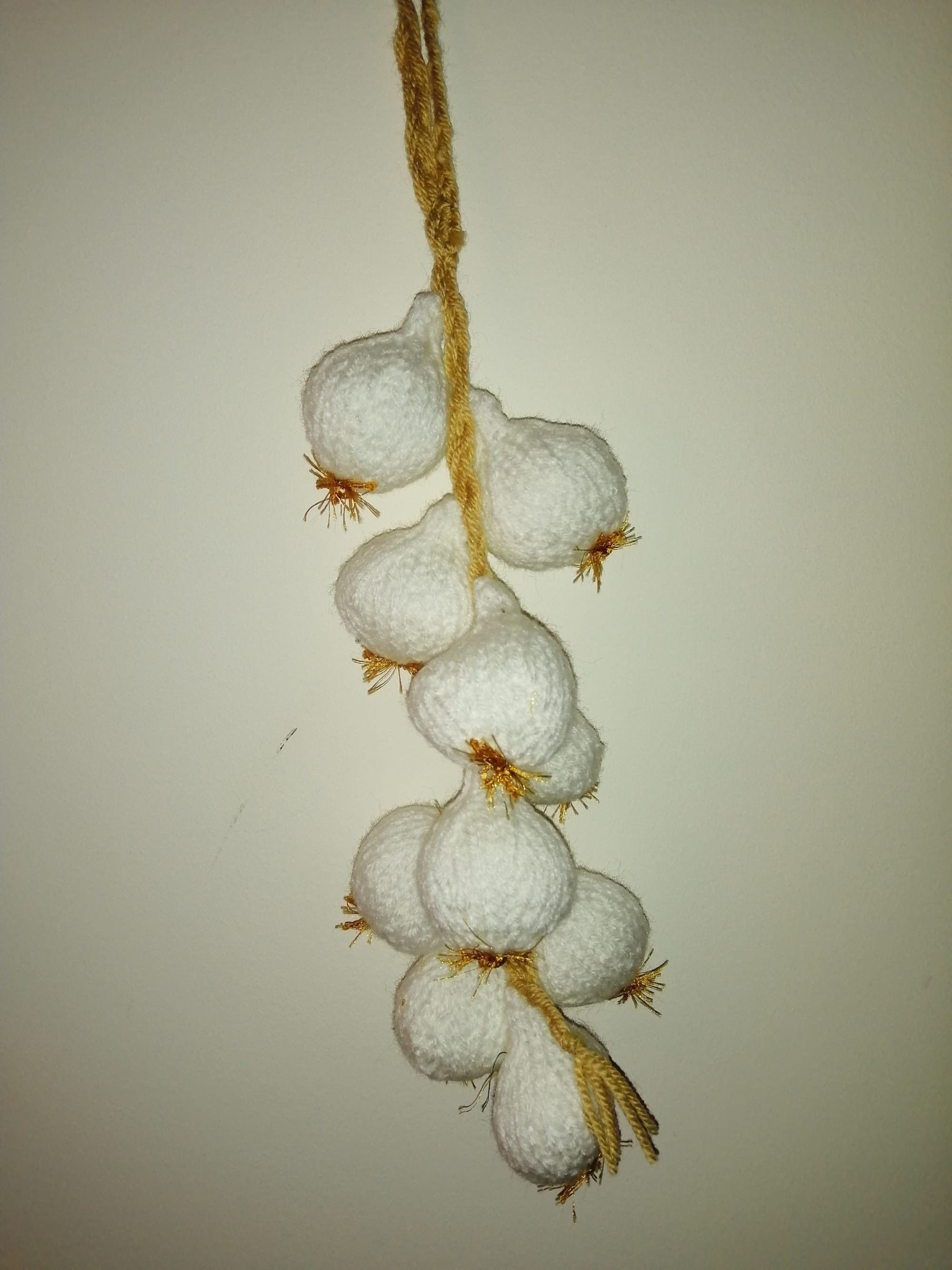 String of garlic