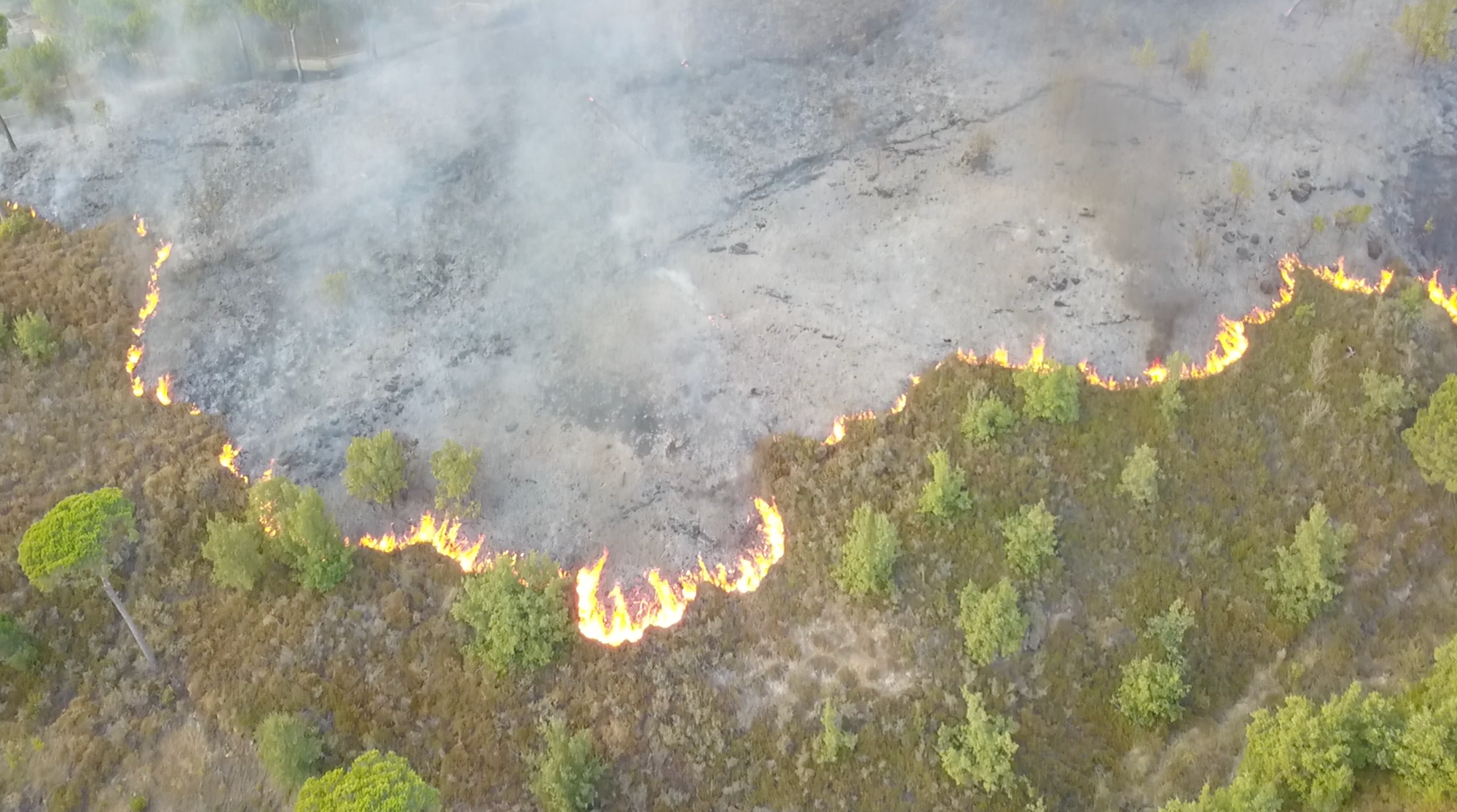 Community-born Action on Wildfires in Lebanon