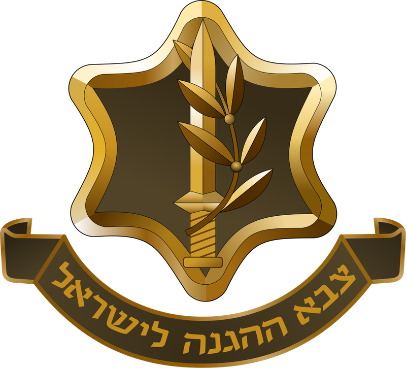 המסלול - כושר קרבי