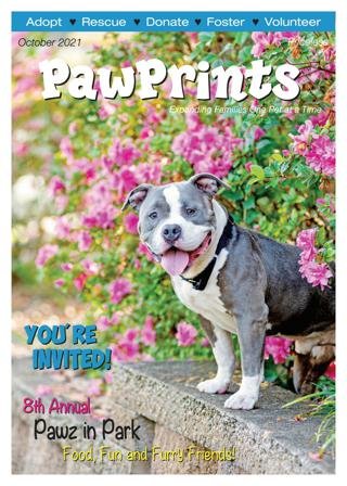 PawPrints Magazine