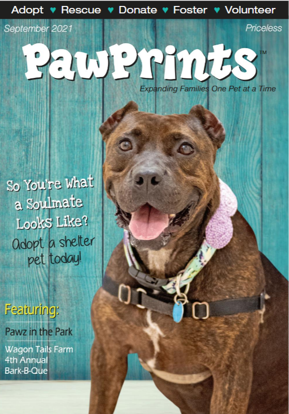 Hamilton's Healing Hearts, Inc. introduction on PawPrints magazine - Hamilton's Healing Hearts, Inc Hamilton's Healing Hearts, Inc. introduction on PawPrints magazine - Hamilton's Healing Hearts, Inc