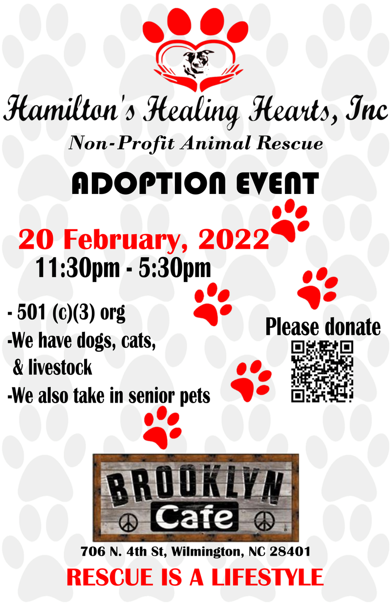 Adoption Event at Brooklyn Cafe, Wilmington