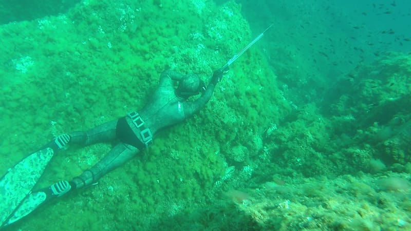 Stage de chasse sous-marine niveau avancé - 1 journée 