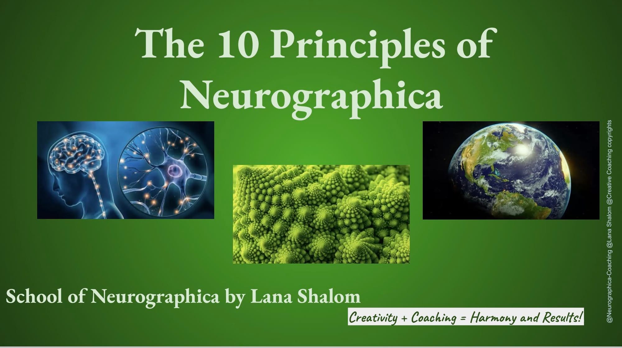 The 10 Principles Of Neurographica - School Of Neurographica By Lana Shalom