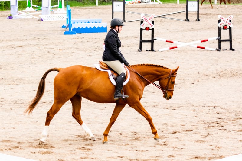 2024 Hunter Jumper Show #3