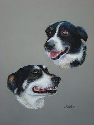 Two collies