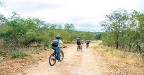 Cycling in the bushveld