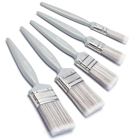 Paint Brushes Set of 5 For Walls and Ceilings