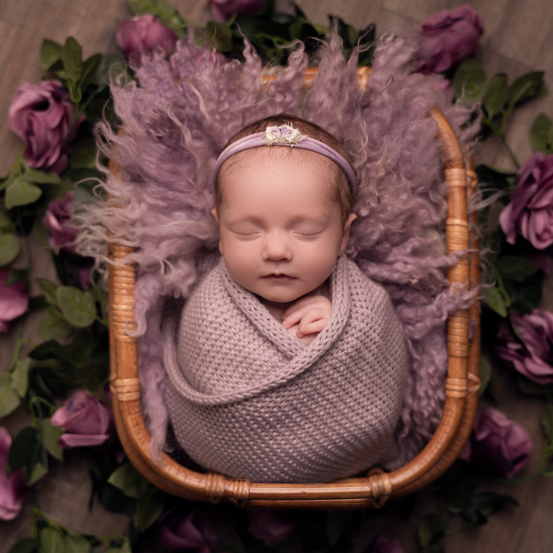 Bamboo props Photoprops.uk