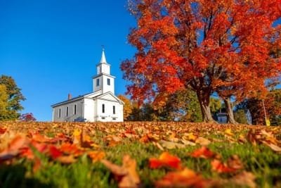 AboUT New England Foliage image