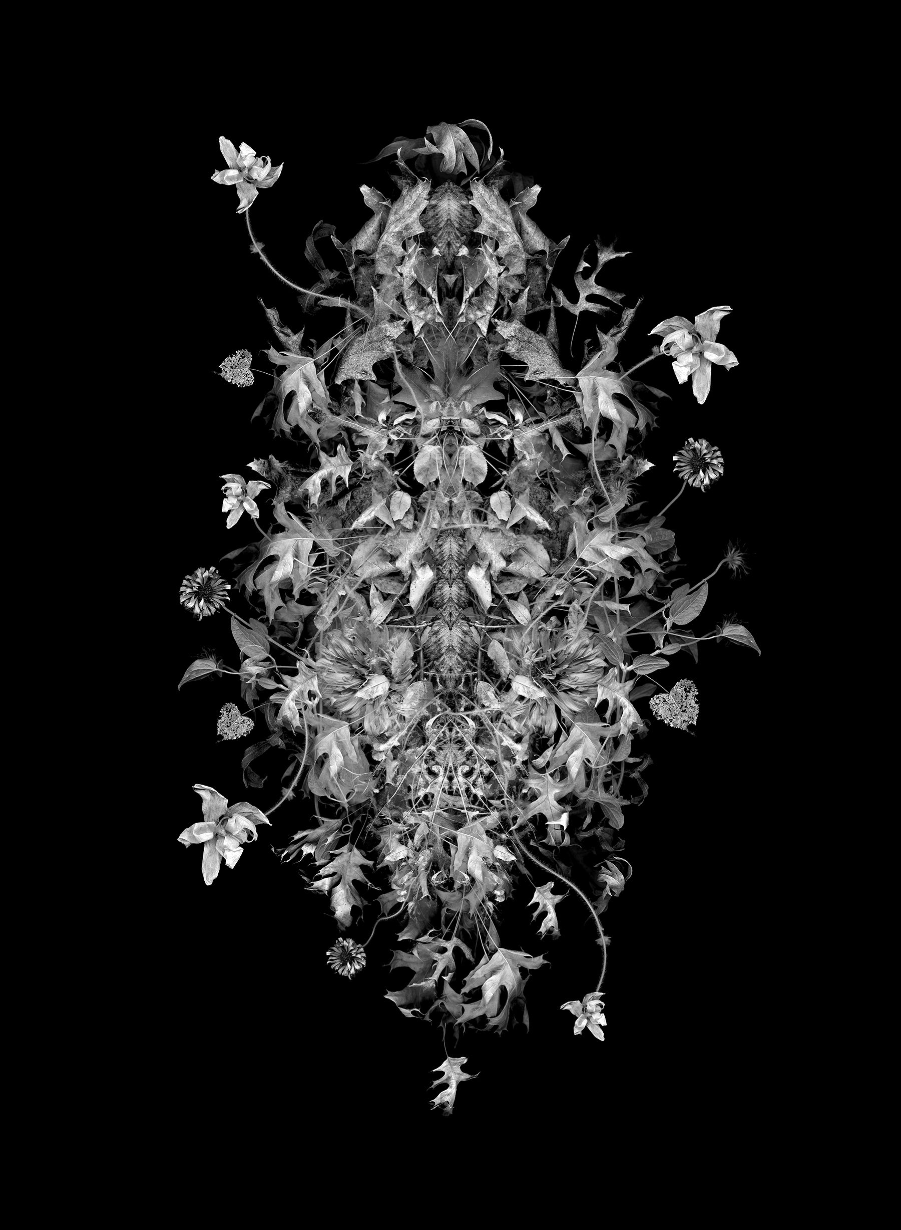 burial shroud