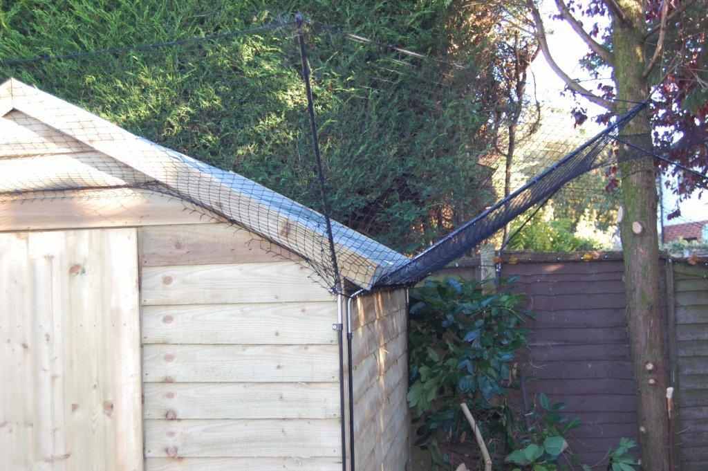 Securacat Direct Cat Fencing Solutions Cat Proof My Garden