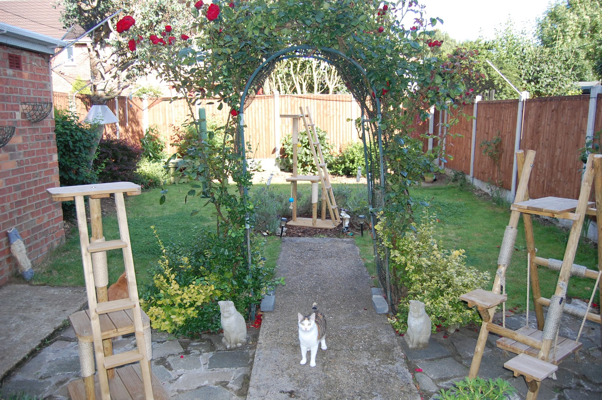 Securacat Direct Cat Fencing Solutions Cat Proof My Garden