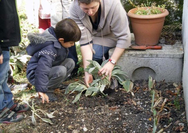 Des liens entre école et maison de retraite