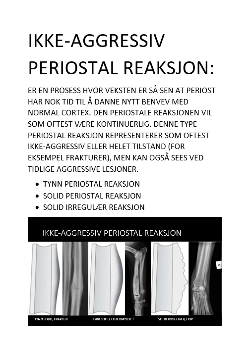 Ascensore Dentale Buser Periostale Come Ritirare Gli - Foto 5