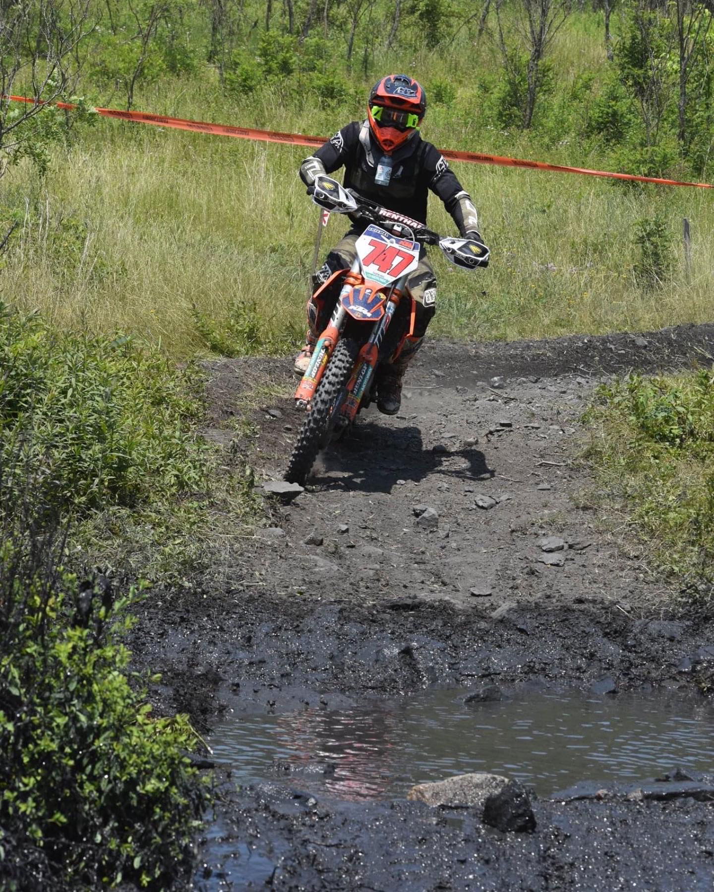 Hammer run online dual sport