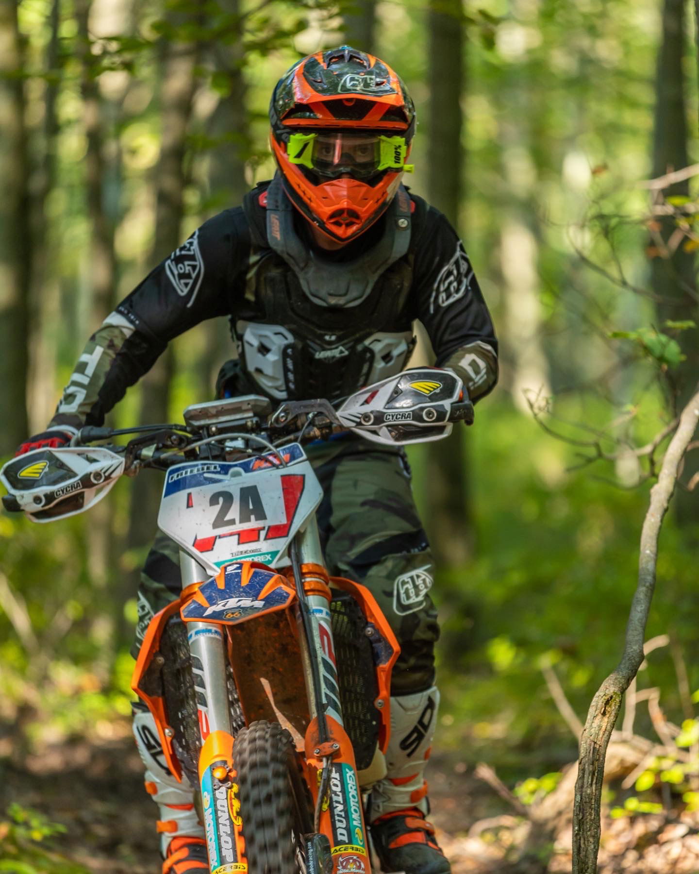 Hammer run online dual sport