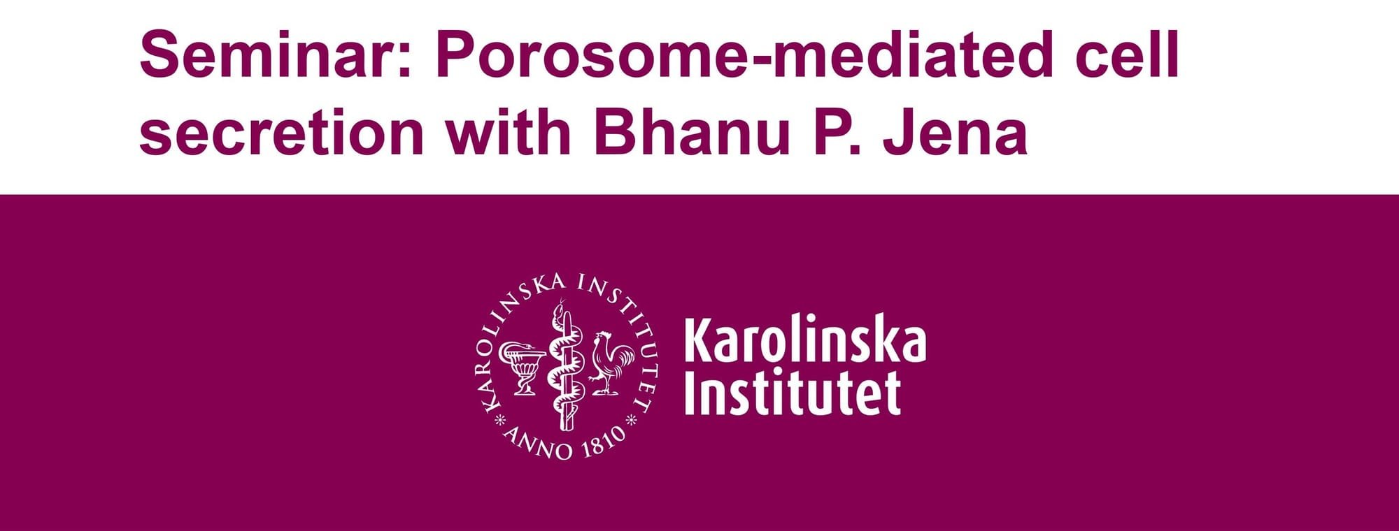 MMI Director presented invited lecture at the Karolinska Institute, Stockholm, Sweden, Sept. 9, 2022