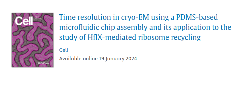 Study by Prof. Joachim Frank’s group using Cryo-EM, published in the journal ‘Cell' reveals structural intermediates in millisecond resolution on ribosome function