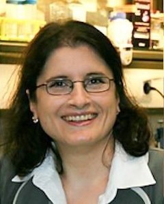 Elisa A. Liehn MD, PhD