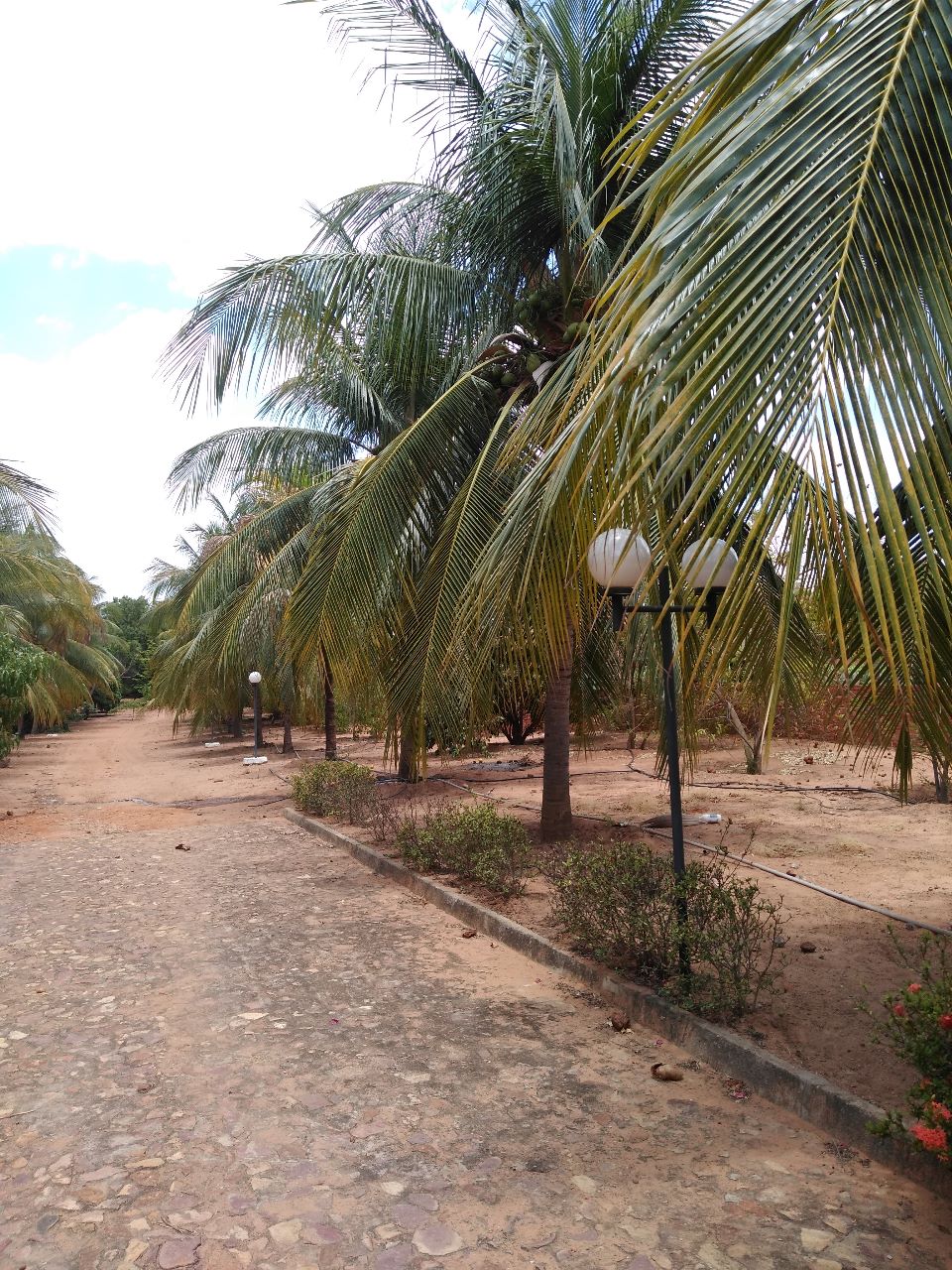 Rua Logradouro Sul, 580 Missão Velha  Escritório Imobiliário Bosco