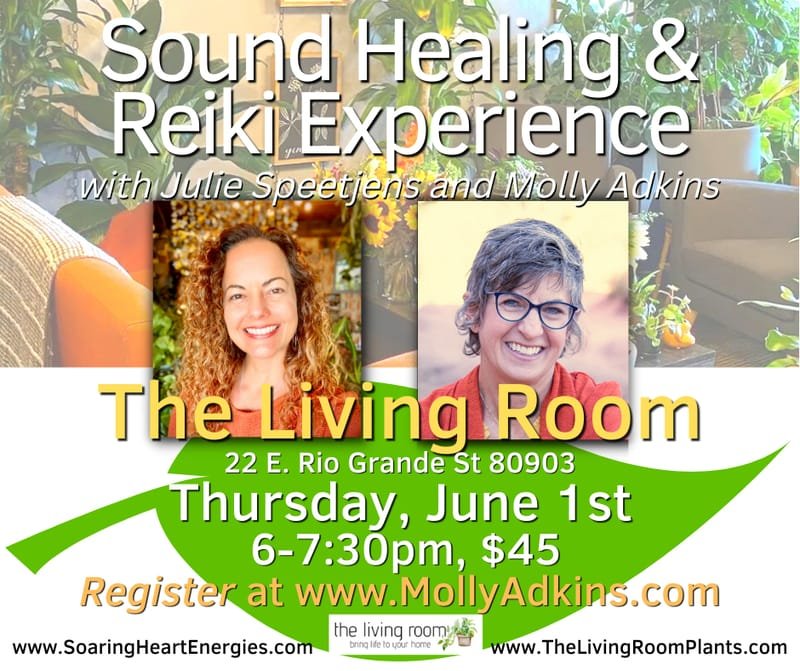 Sound Healing & Reiki Experience at The Living Room Plant Shop