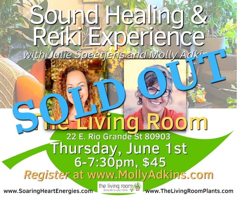 Sound Healing & Reiki Experience at The Living Room Plant Shop