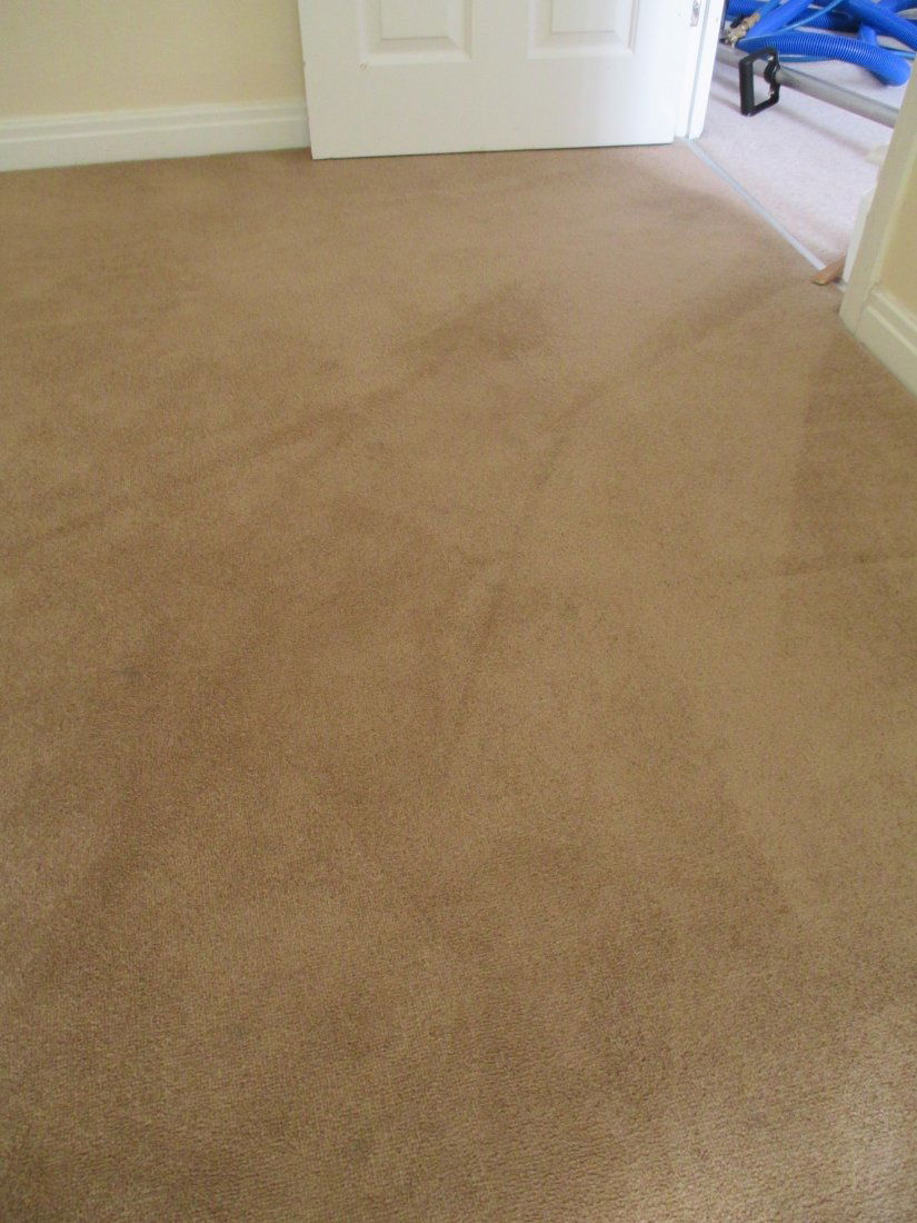 Carpet Devil Barnsley Carpet Cleaning Gallery.